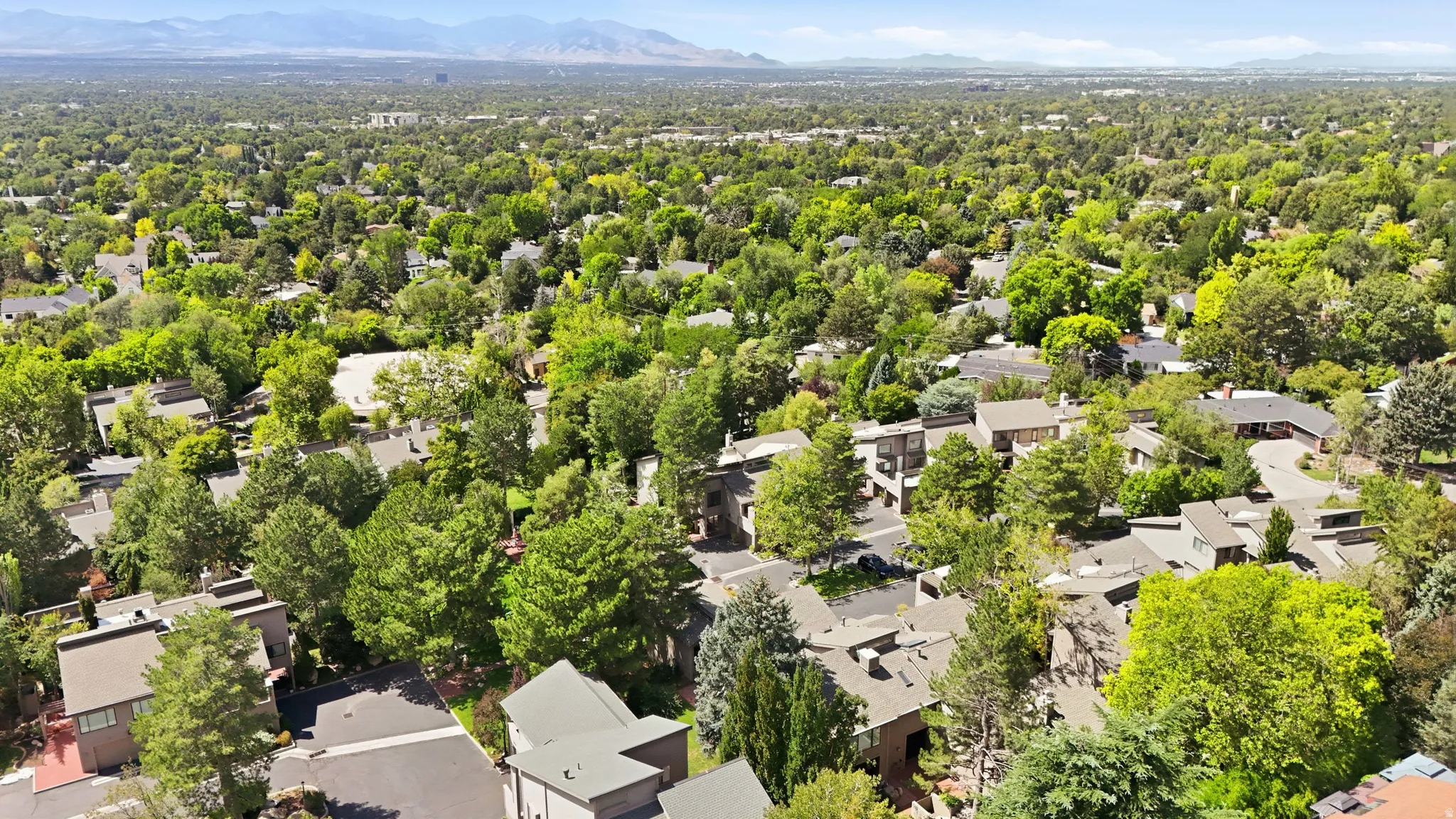Expansive aerial perspective showcasing a mature tree canopy, residential rooftops, and distant mountain ranges
