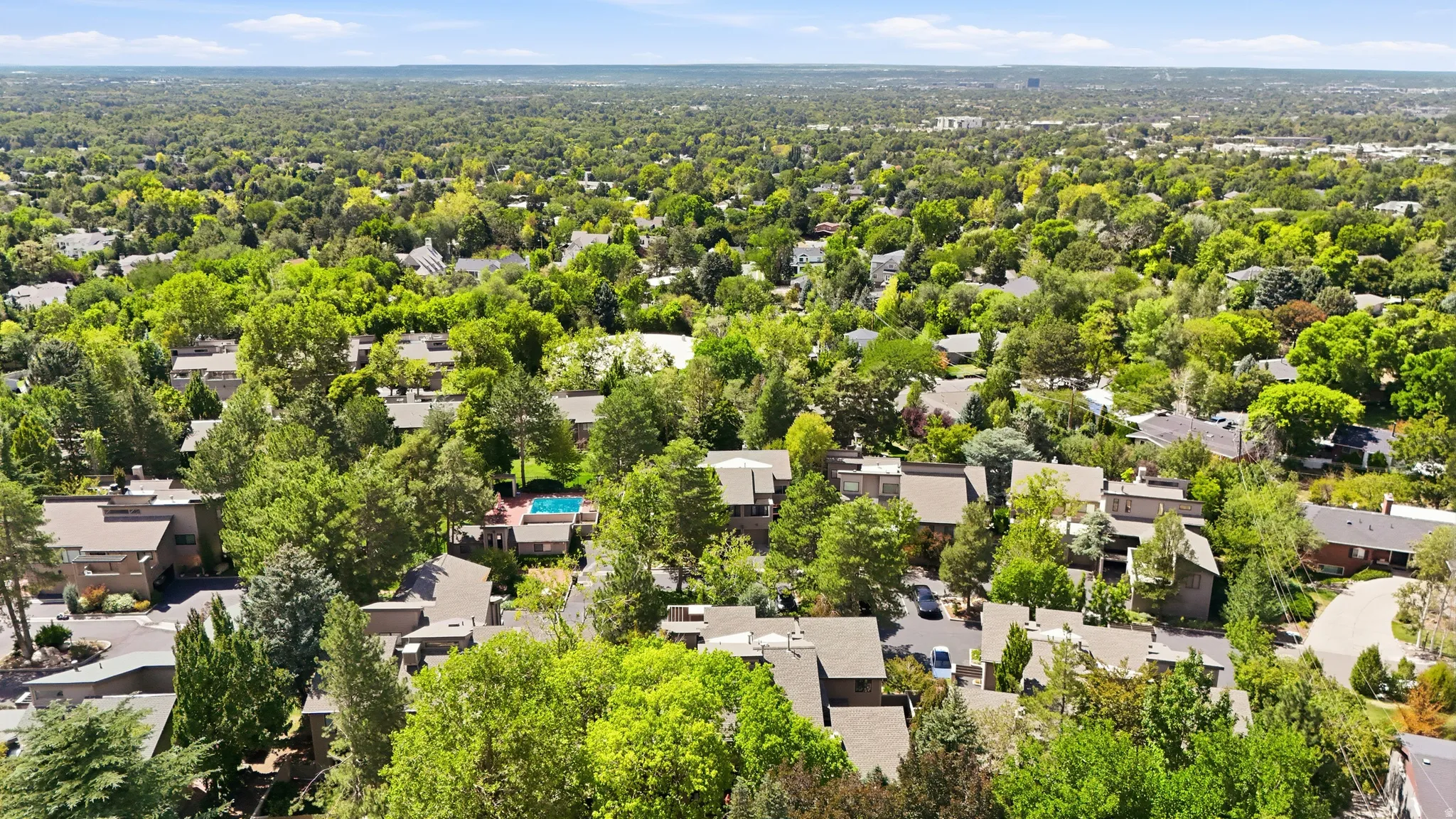 Expansive treed neighborhood with varied rooflines and multiple residential structures