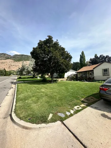 Expansive front lawn with a mature shade tree, concrete driveway, and mountain backdrop