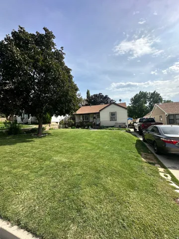Expansive front lawn with a mature shade tree, a concrete sidewalk, and a single-story residence with light-colored siding and a brown shingle roof