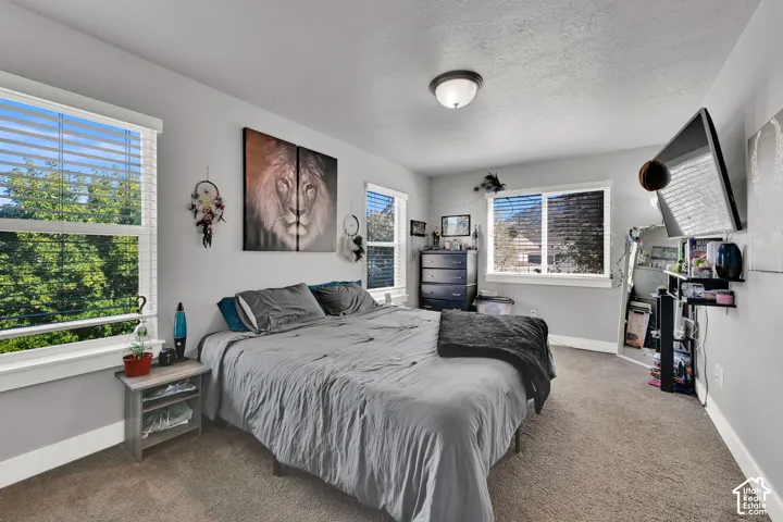 Carpeted flooring with multiple windows featuring blinds