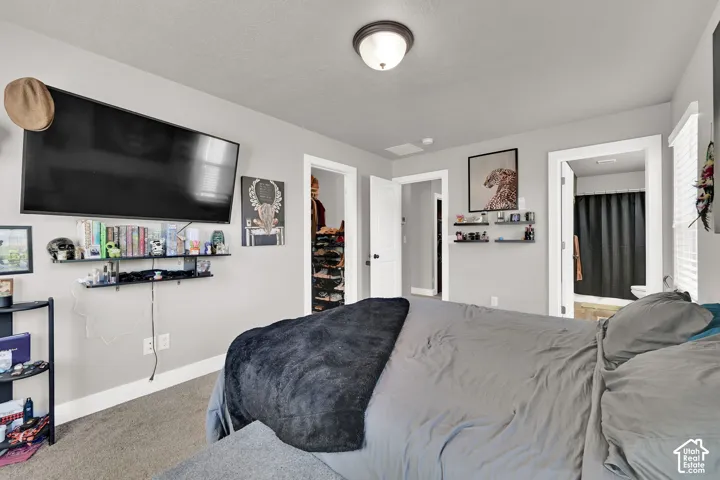 Neutral wall color, ceiling-mounted light fixture, carpet flooring, multiple doorways, and wall-mounted shelving