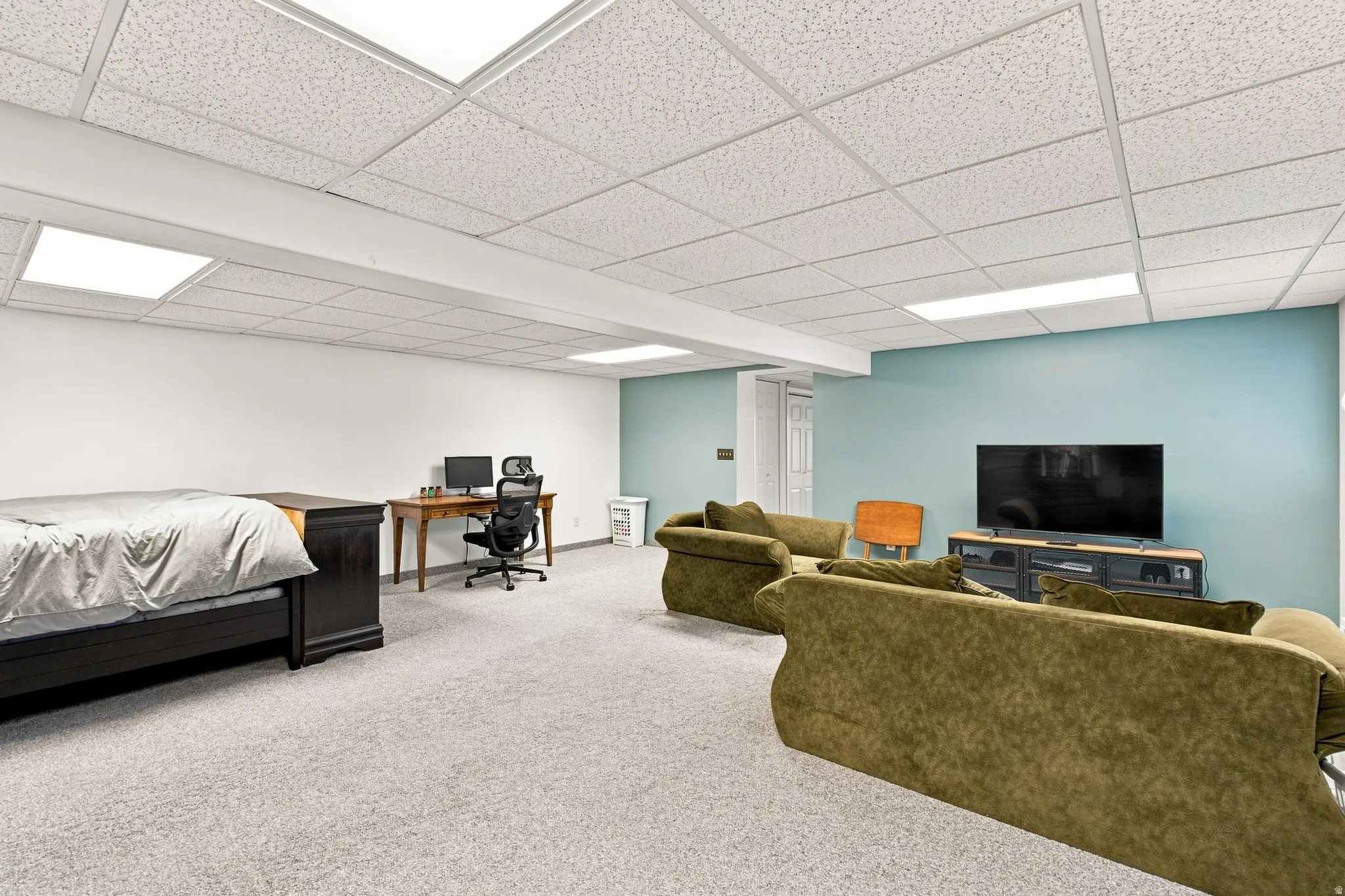 Basement flex room