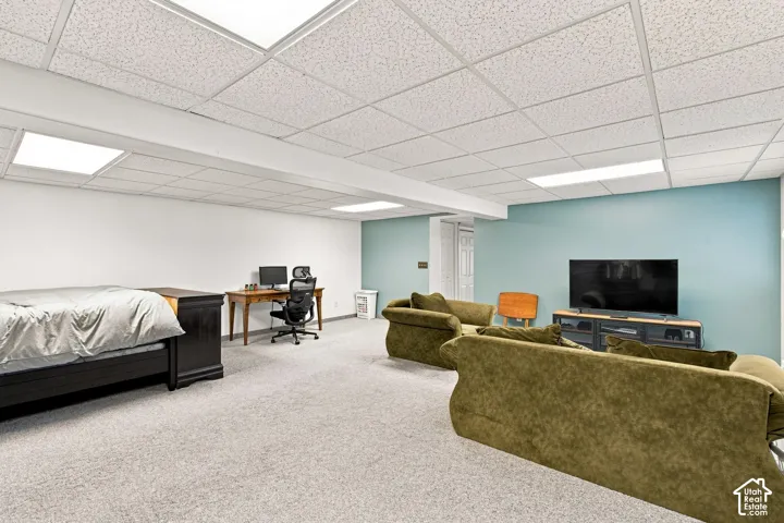 Basement flex room