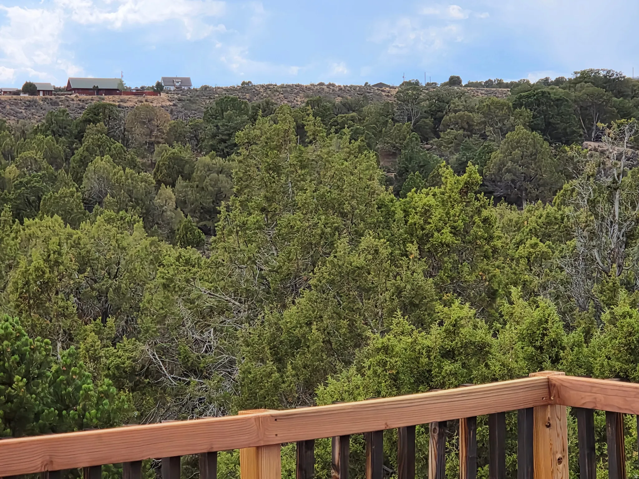 Wood-finish deck railing overlooking a dense tree canopy