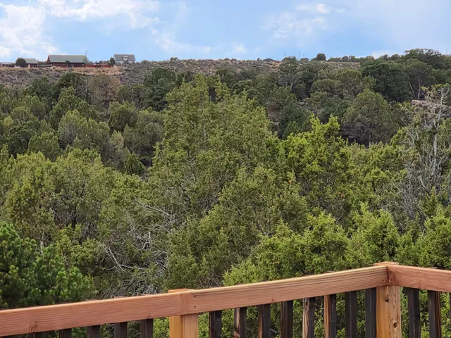 Wood-finish deck railing overlooking a dense tree canopy