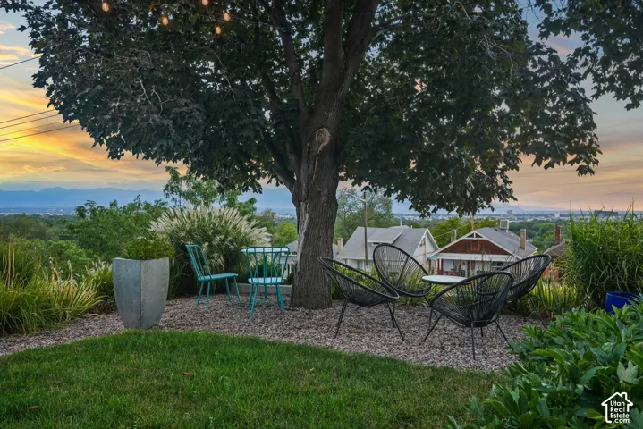 Landscaped outdoor area featuring a mature tree, string lighting, and gravel hardscaping