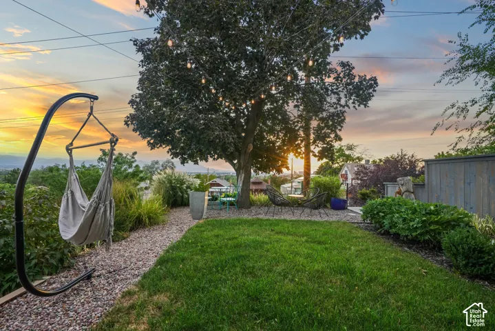 Manicured lawn with a gravel pathway, mature shade tree with string lighting, and established perimeter landscaping