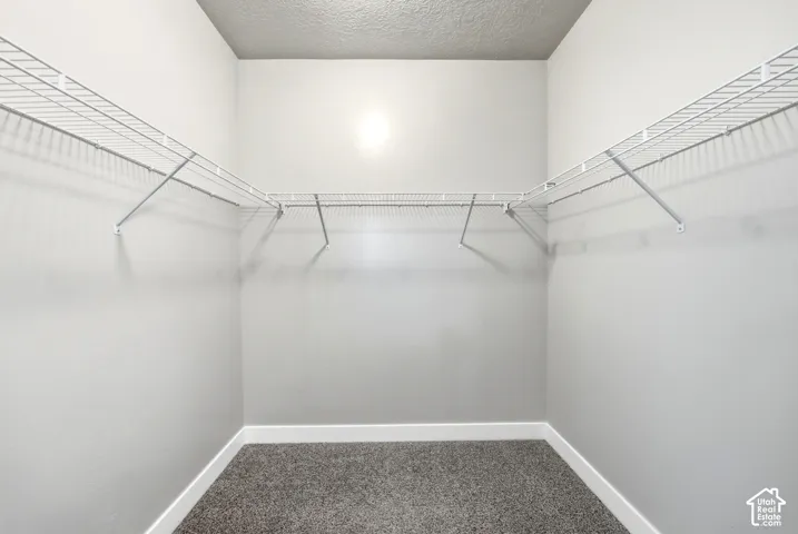 Spacious walk-in closet featuring dual wire shelving systems, carpet flooring, and bright overhead lighting