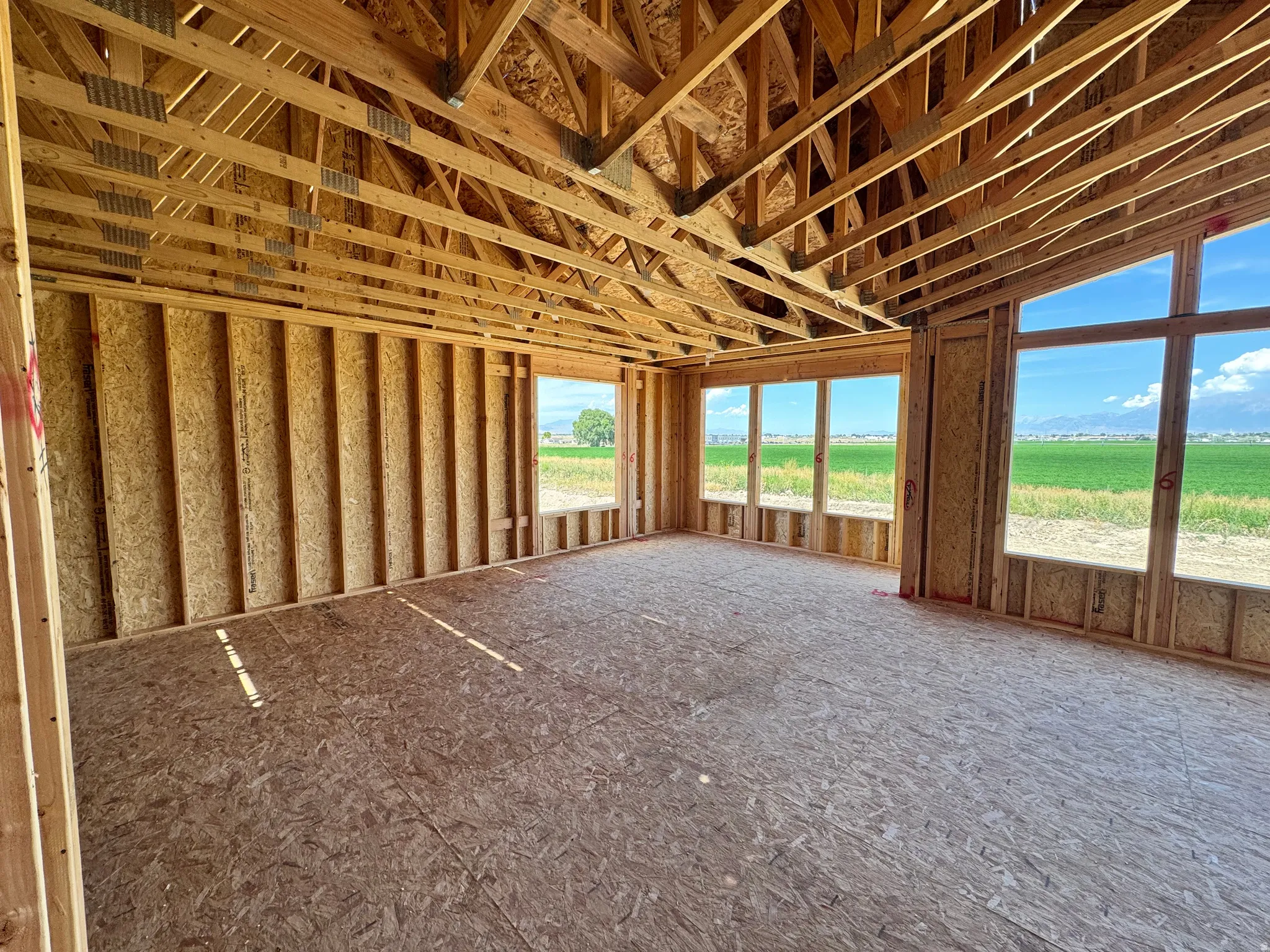 Open-concept framing with exposed roof trusses, extensive window placements, and expansive plywood subflooring