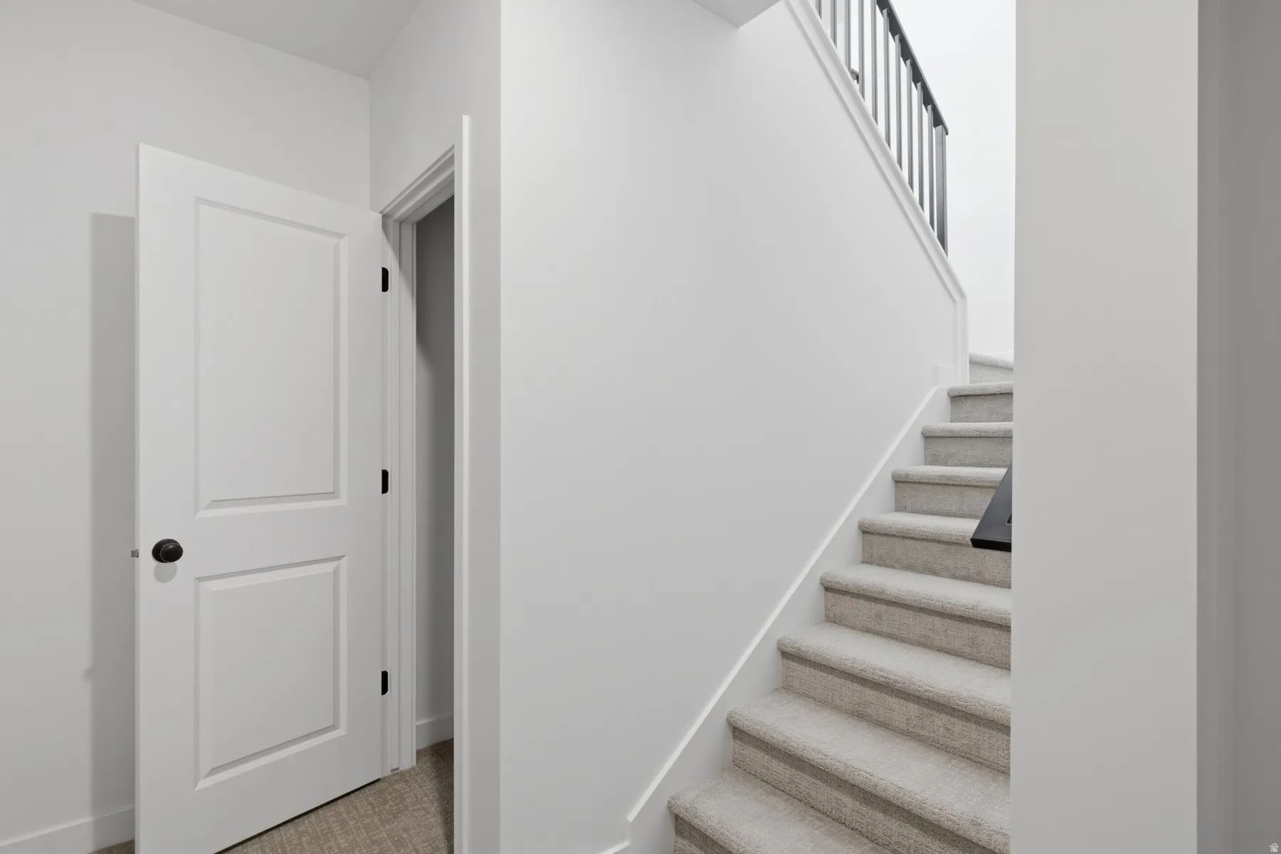 Carpeted staircase with dark metal balusters, white handrail, and white panel door with black hardware