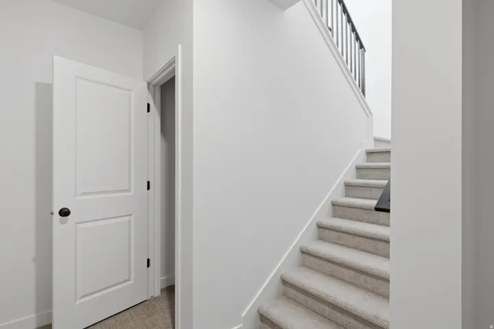 Carpeted staircase with dark metal balusters, white handrail, and white panel door with black hardware