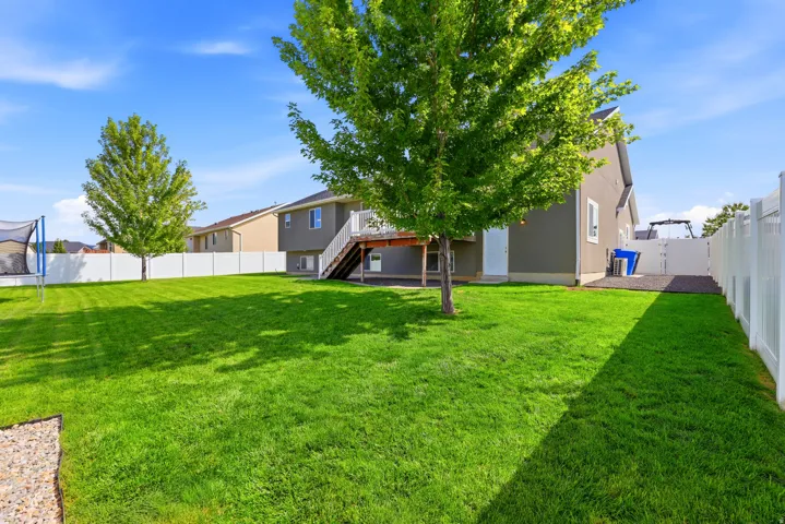 Expansive backyard featuring a manicured lawn, mature trees, and a white privacy fence