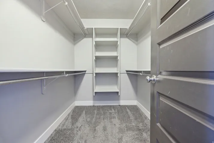 Walk-in closet featuring carpet flooring, built-in shelving, and hanging rods