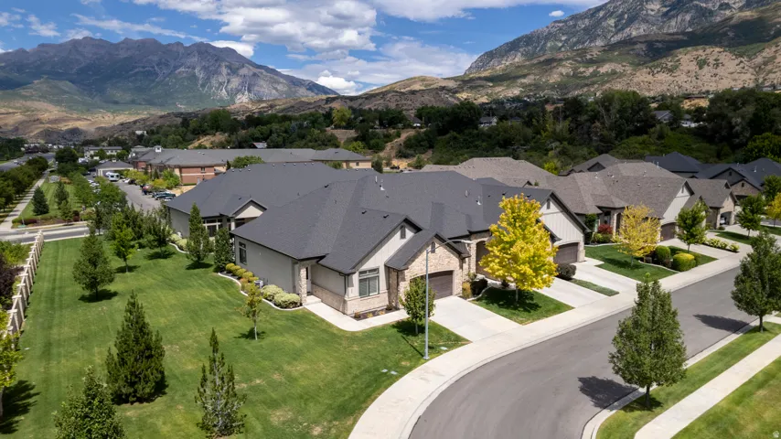 Modern single-story residences featuring attached garages, manicured lawns, and mature landscaping