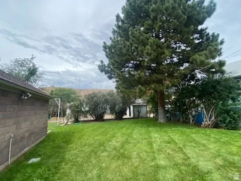 Expansive lawn with a mature evergreen tree and a block-sided structure