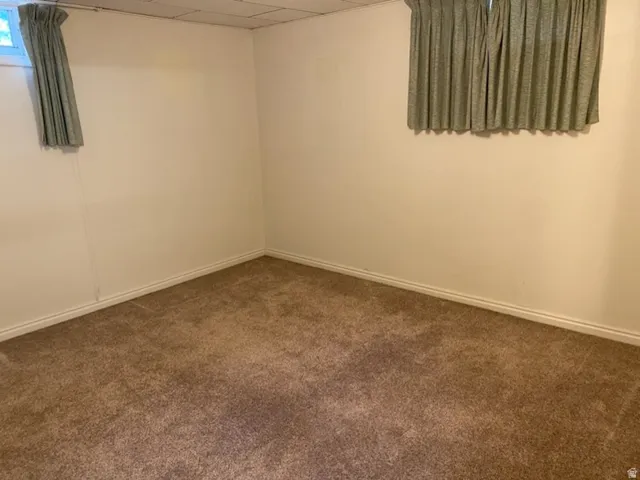 Brown carpet flooring with white walls and ceiling tiles