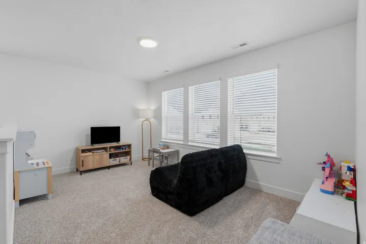 Plush carpet flooring, three large windows with horizontal blinds, and a flush-mount ceiling light fixture