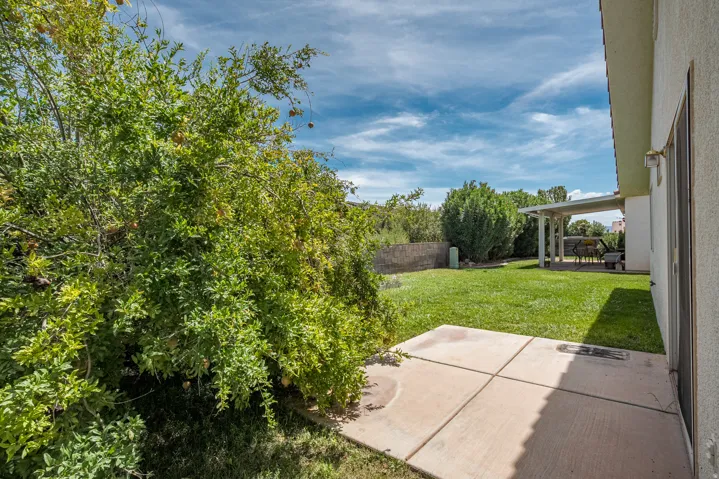 Expansive backyard featuring a concrete patio, covered patio structure, and mature landscaping