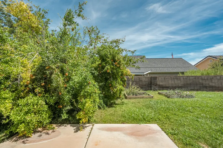 Expansive backyard featuring a concrete patio, established green lawn, and raised garden beds