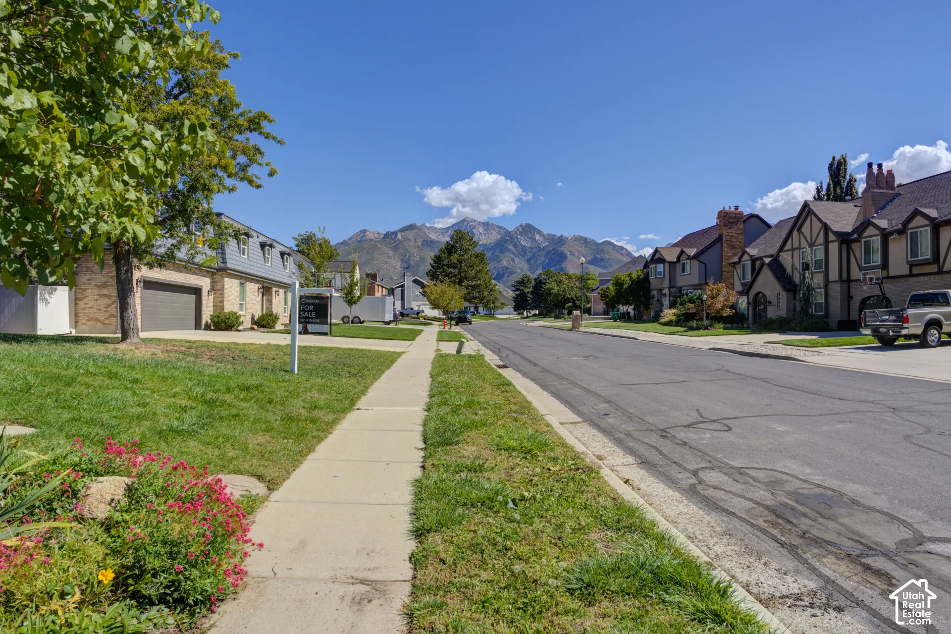 Great mountain views from the driveway.