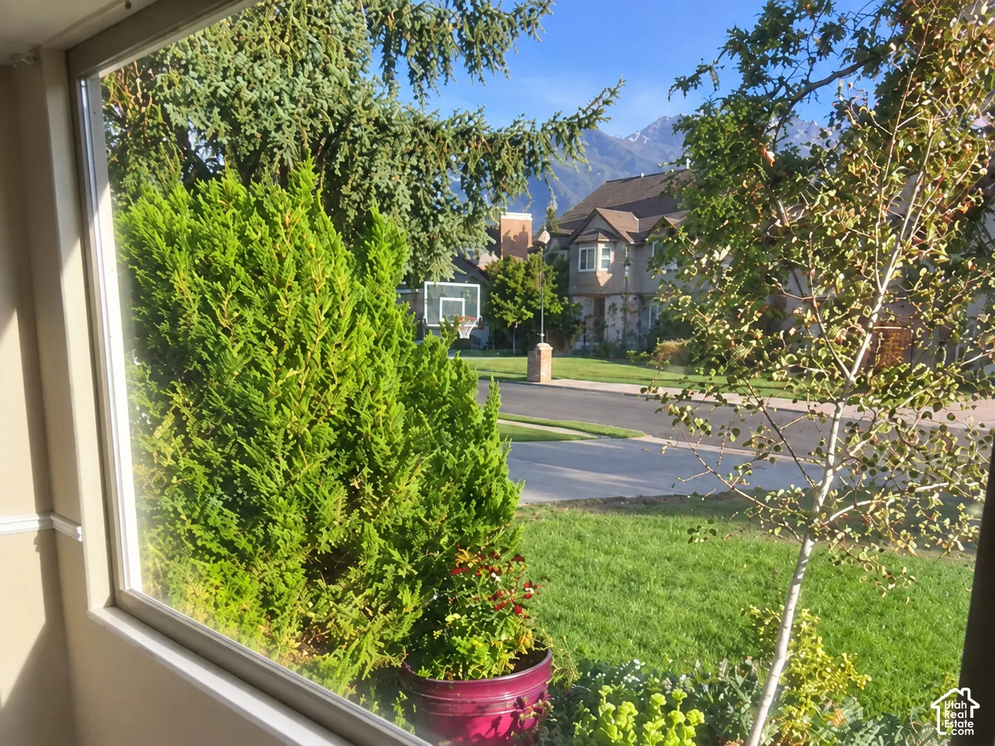 View from livingroom to the mountains on the east