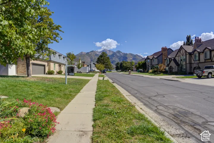 Great mountain views from the driveway.