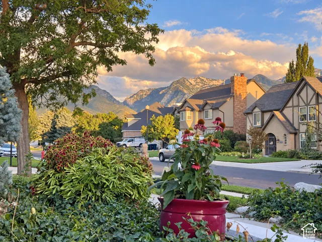 Late afternoon view from the driveway to Little Cottonwood Canyon through the neigborhood.