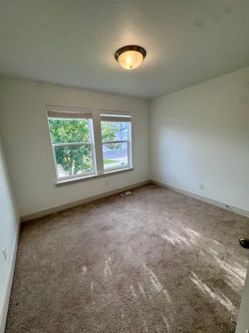 Brown carpeting and white walls
