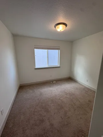 Neutral wall paint, window with blinds, flush-mount ceiling light fixture, and carpet flooring