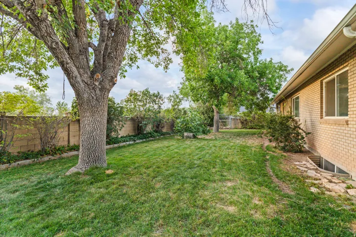 166 Brooklyn Dr, Salina, Utah 84654