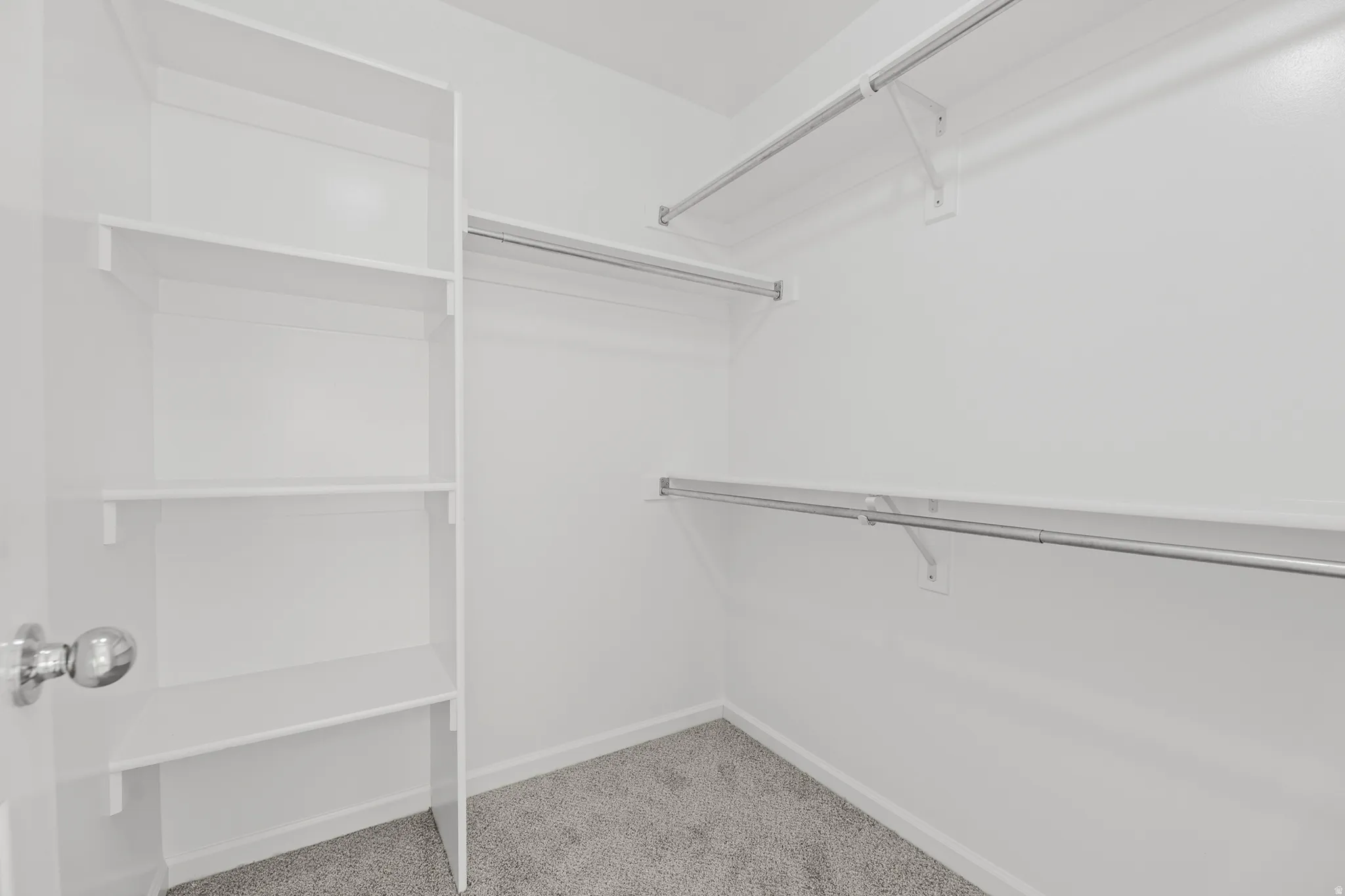 Built-in shelving, chrome hanging rods, and carpet flooring