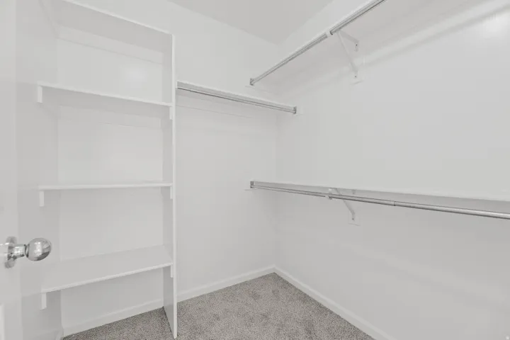 Built-in shelving, chrome hanging rods, and carpet flooring