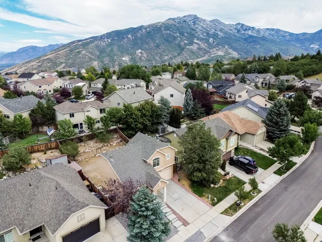 Residential neighborhood with varied architectural styles, mature trees, and mountain scenery