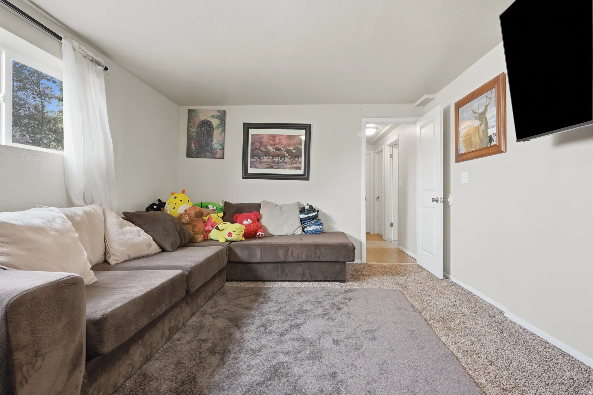 Wall-mounted television with visible wiring conduit, neutral wall paint, and light-colored carpeting