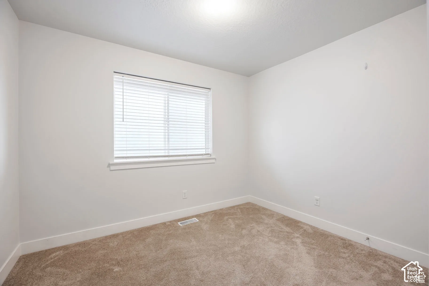 Neutral wall color, window with blinds, and carpeted flooring