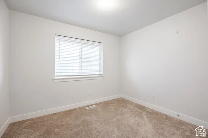 Neutral wall color, window with blinds, and carpeted flooring