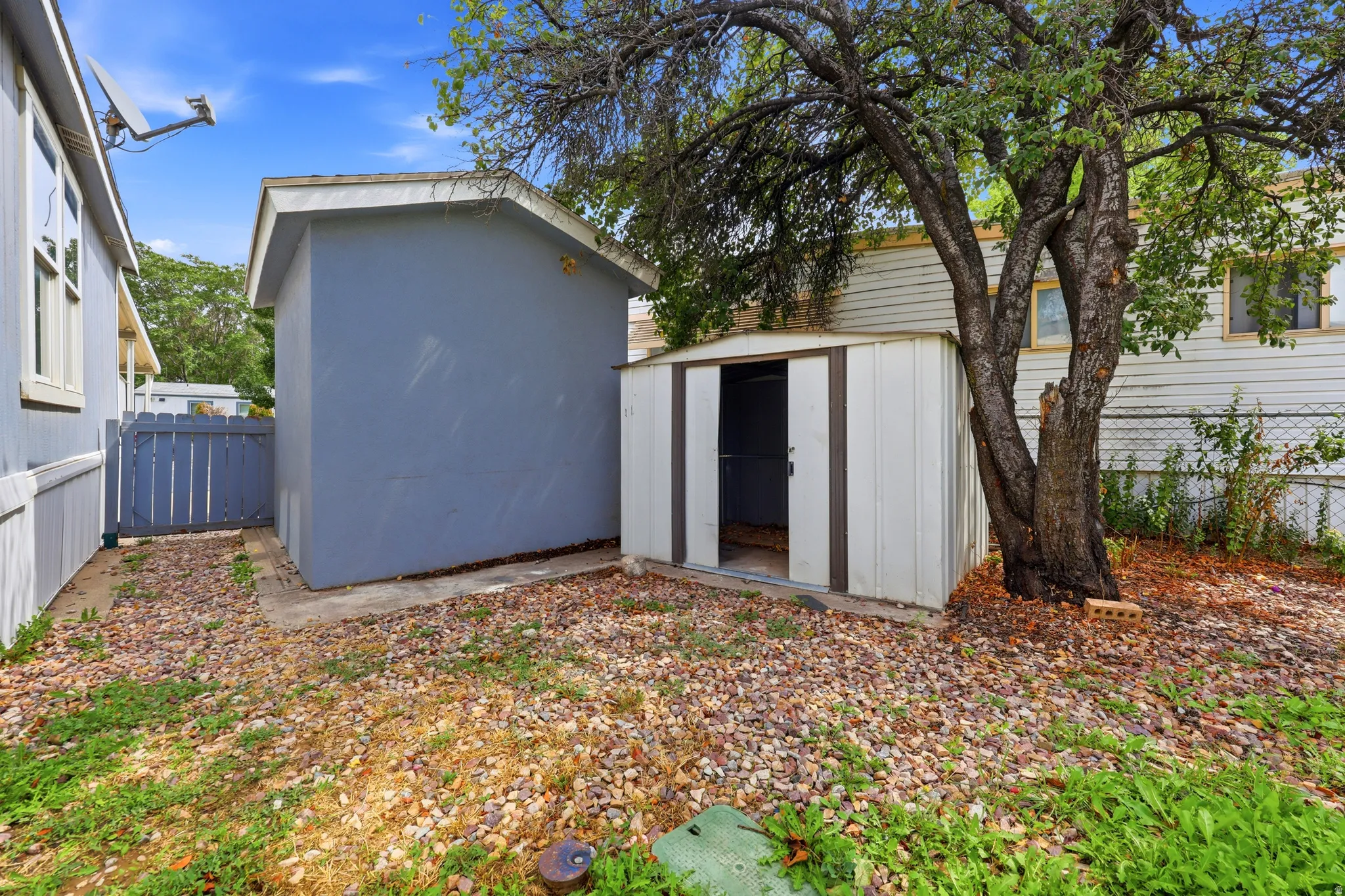 Two storage sheds and a mature tree