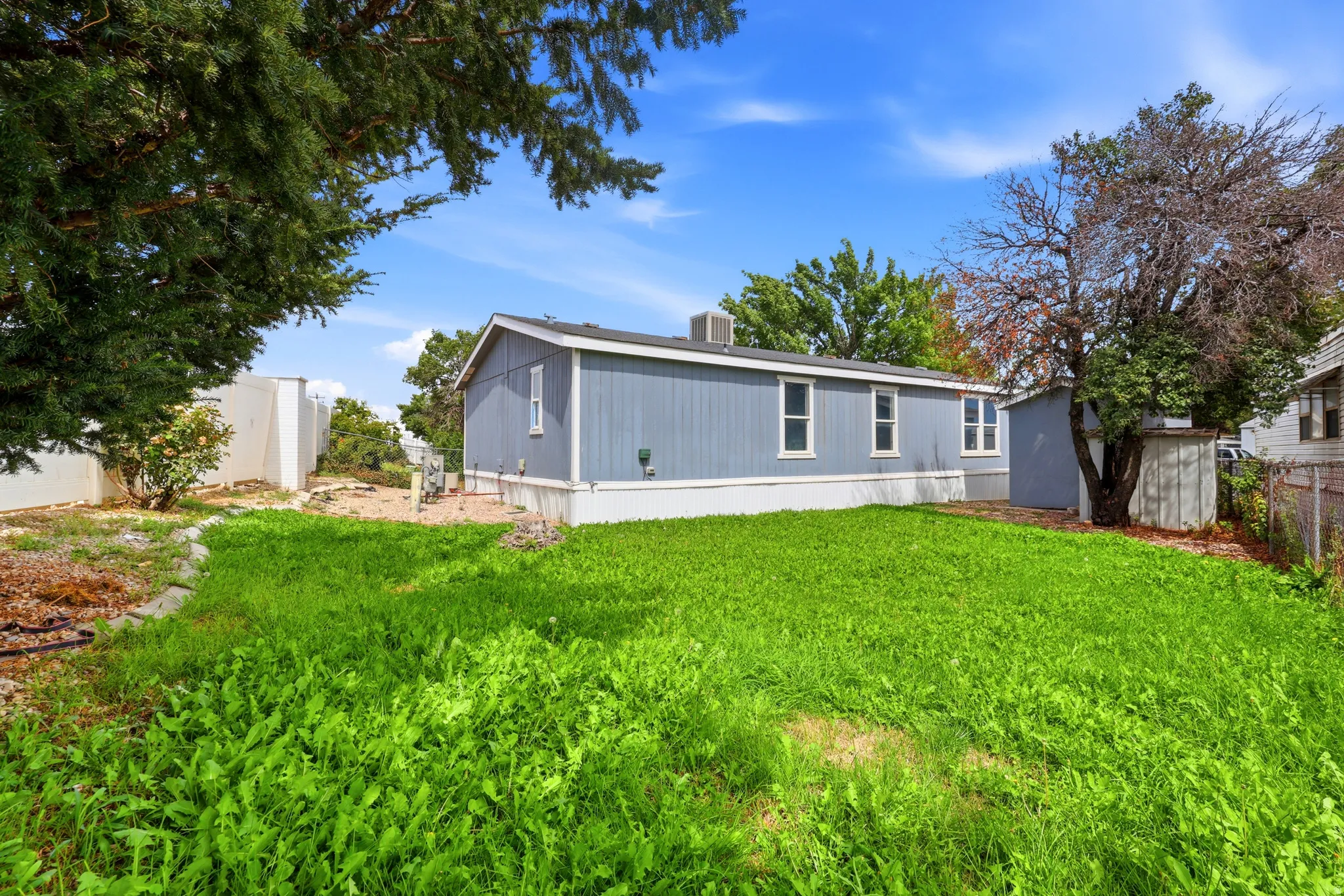 Expansive grassy area with mature trees and a detached structure