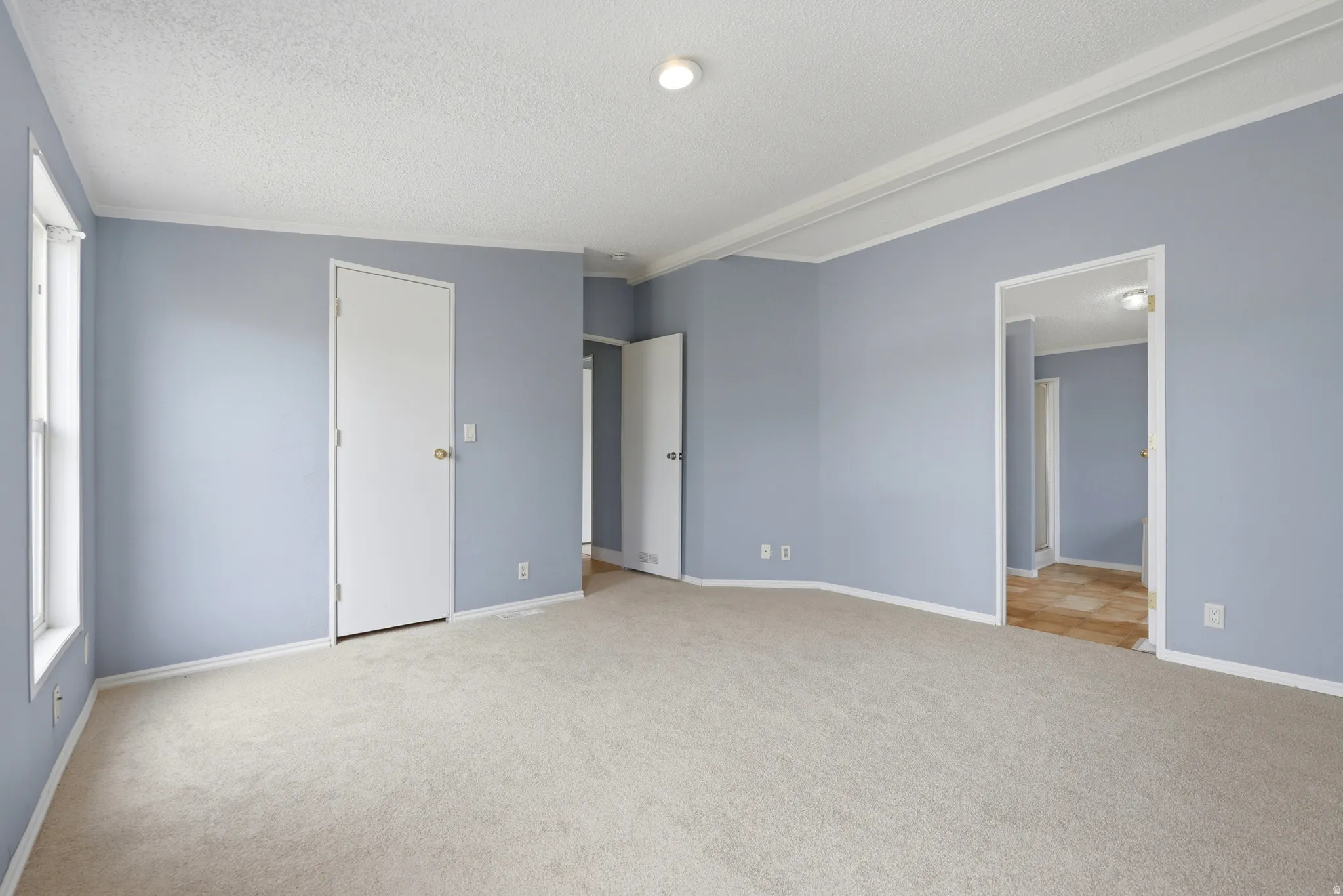 Recessed ceiling lighting, light-toned carpet flooring, white trim, and multiple doorways