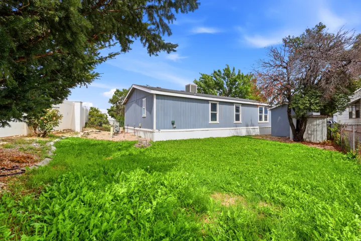 Expansive grassy area with mature trees and a detached structure