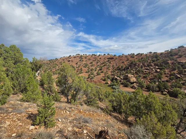 Stunning property views!!