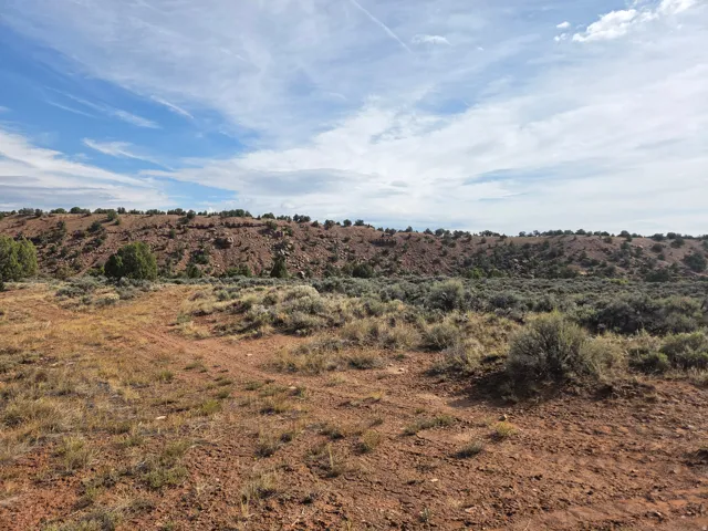 Beautiful property views from up top - field/pasture!