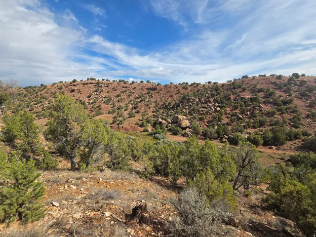Stunning property views!!