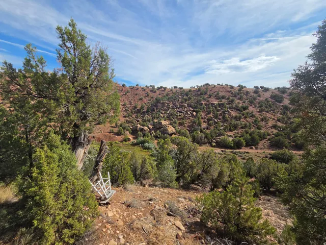 Stunning property views!!