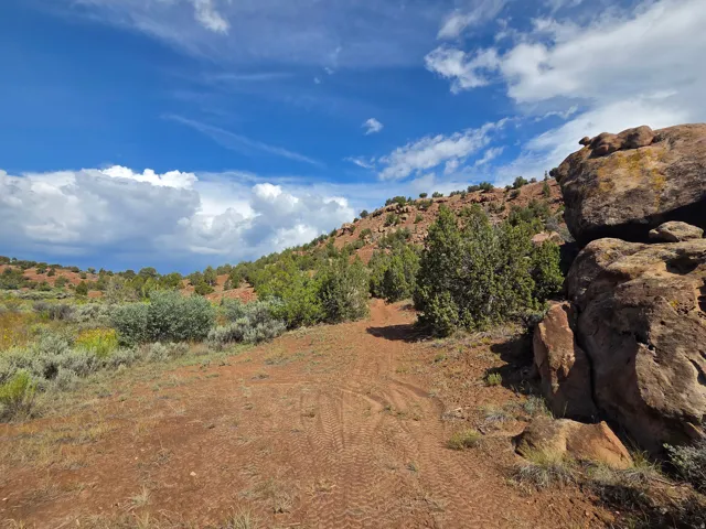 Stunning property views!! Down by the creek!
