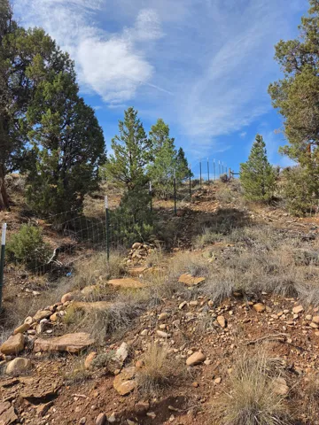 Property is partially fenced!
