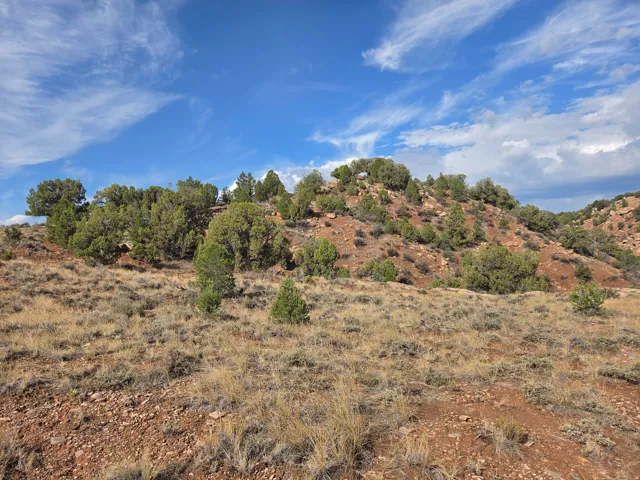 Stunning property views!!