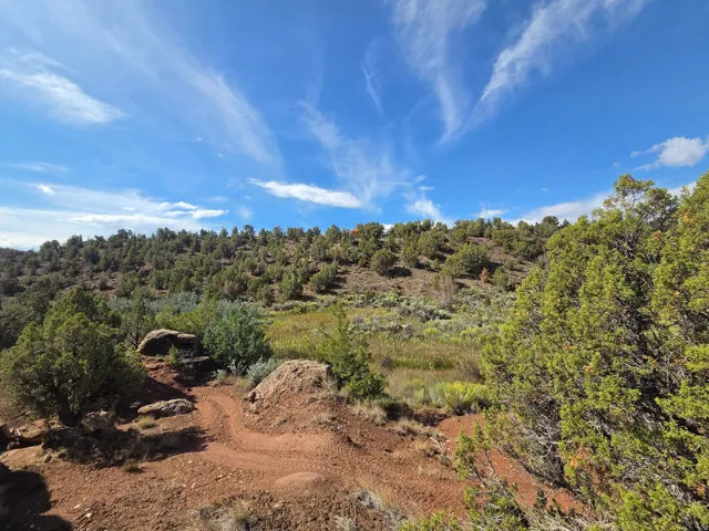 Beautiful Property Views!!