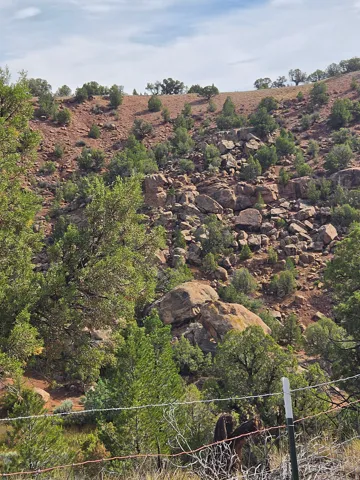 Stunning property views!!